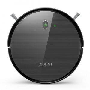 zyglint-d5