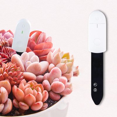 czujniki-kwiaty-xiaomi-sothing