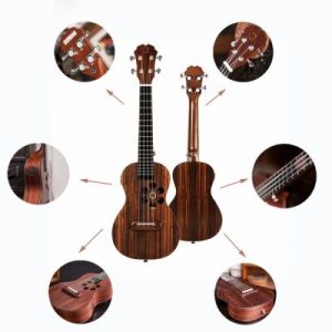 Xiaomi-Populele-S1