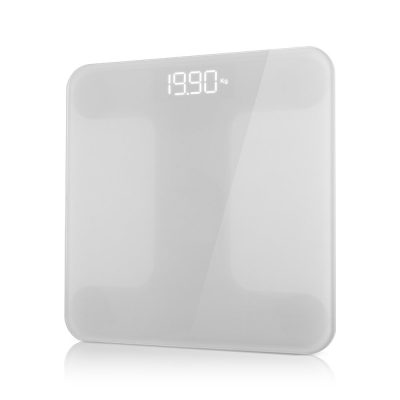 waga-digoo-B8045